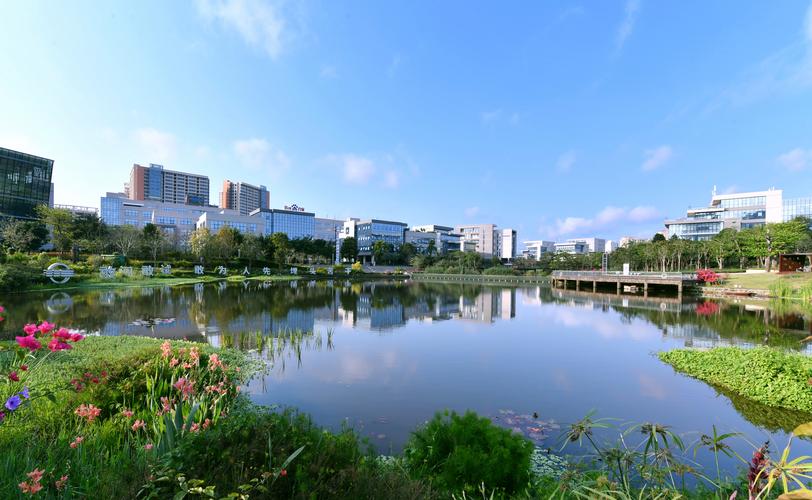 在合规框架下推进软件开发 从审批到落地的实践路径
